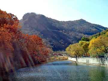 新澳天天开奖资料大全旅游团，弹性地垫